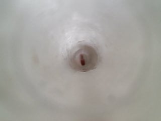 Cum Inside Gay Aloha Tube