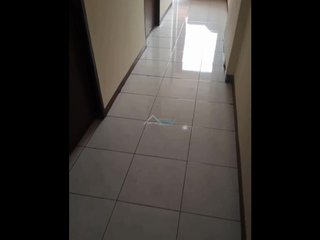 JAPANESE ALOHA TUBE visual data 4